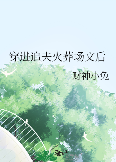 穿進追夫火葬場文後