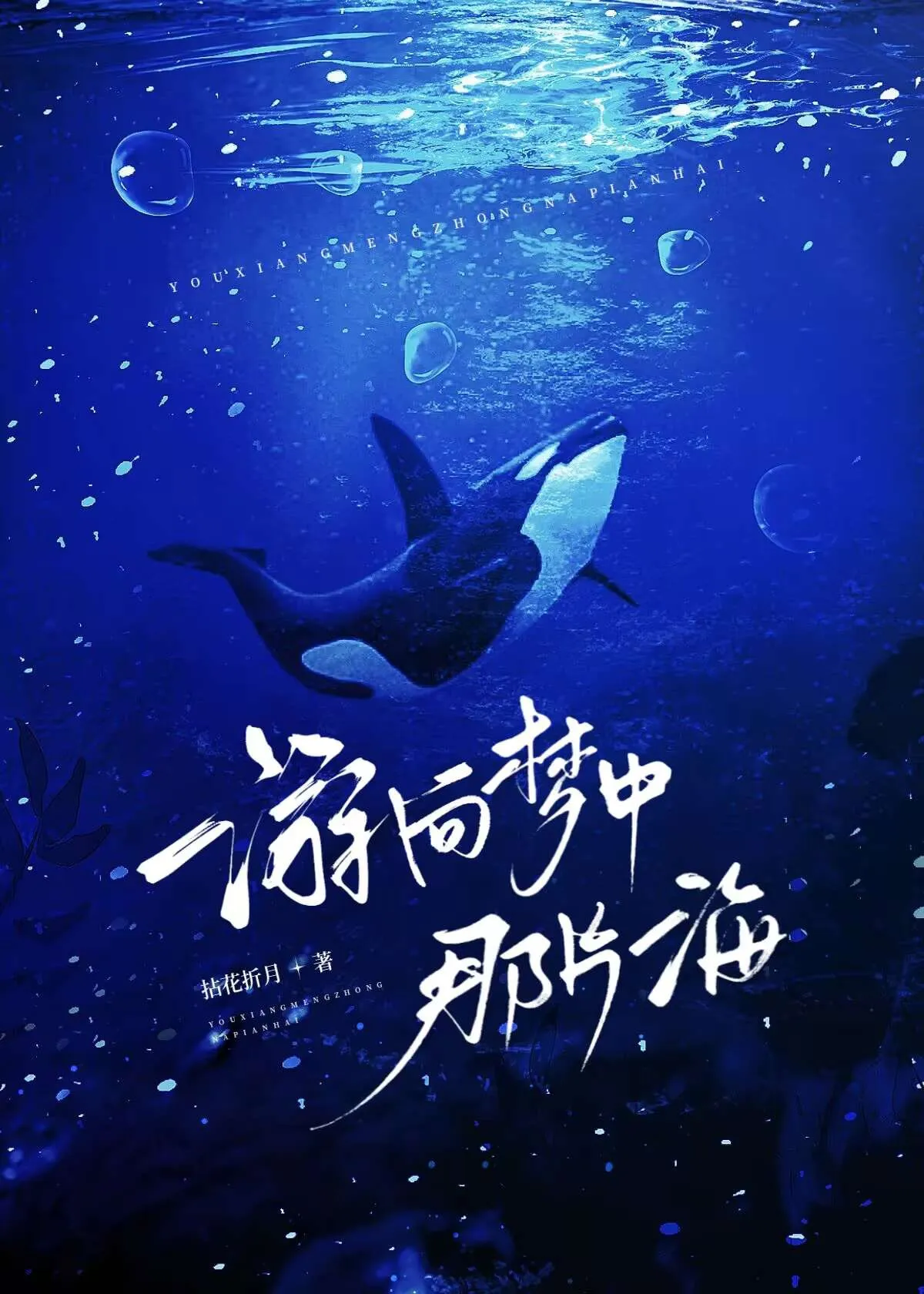 遊向夢中那片海