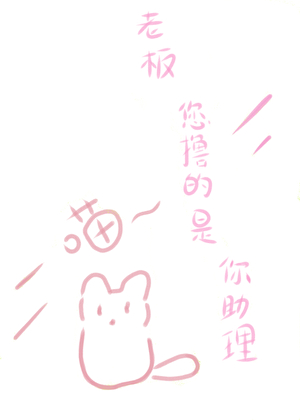 老闆，您撸的是你助理！