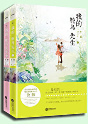 我的鴕鳥先生