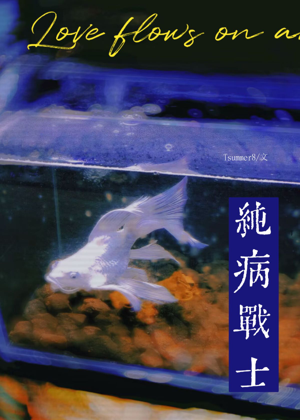 被病嬌瘋批盯上後