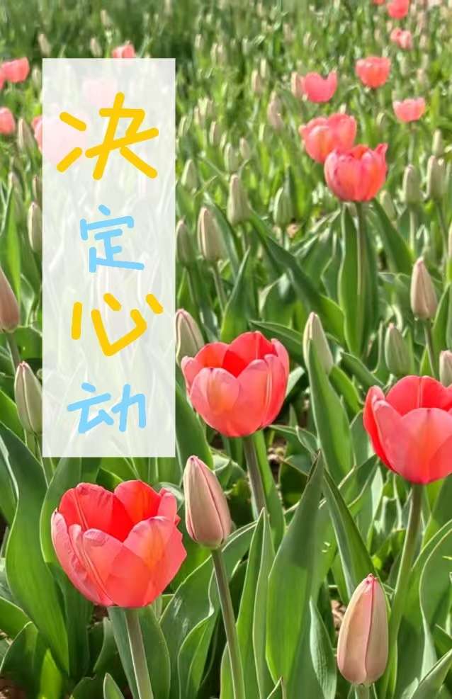 決定心動