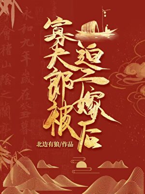 寡夫郎二嫁後