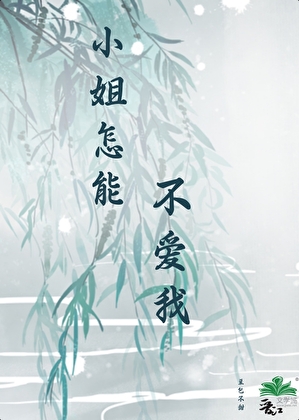 小姐怎能不愛我