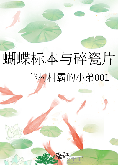 蝴蝶标本與碎瓷片