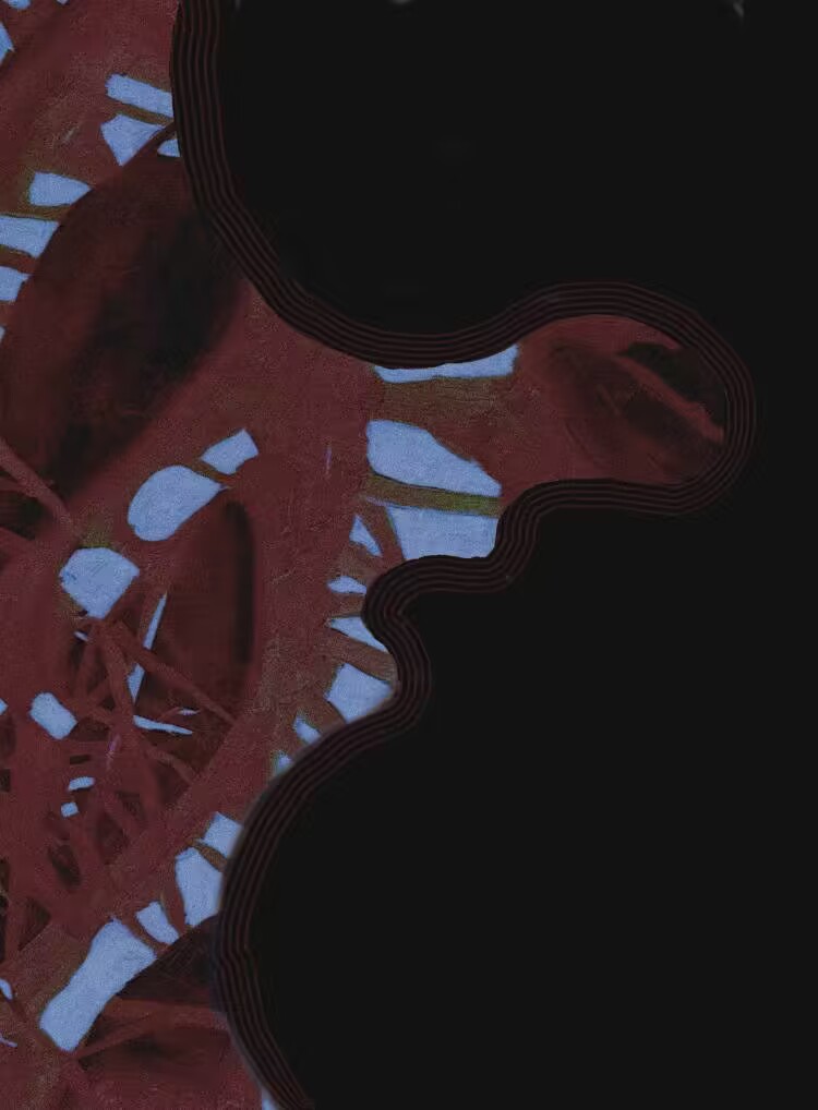 妻子不可能是宿敵
