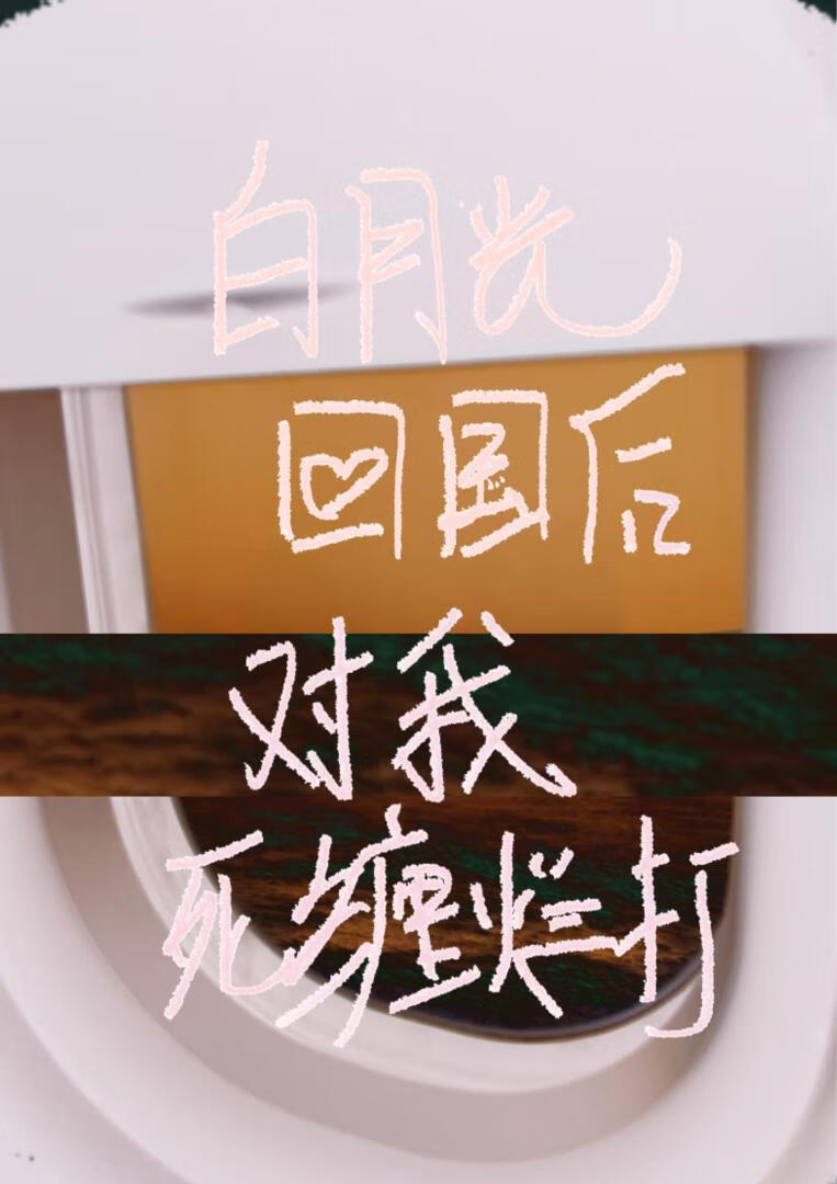 白月光回國後對我死纏爛打