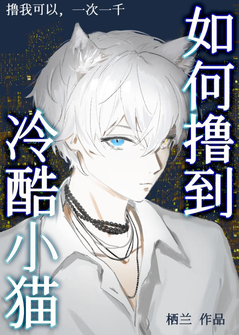 如何撸到冷酷小貓