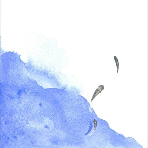 追将軍記