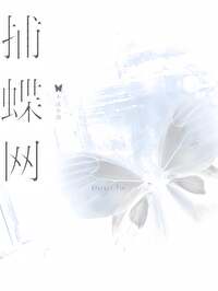 捕蝶網