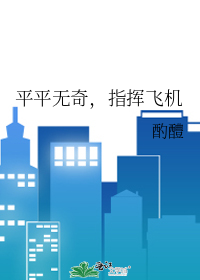 平平無奇，指揮飛機