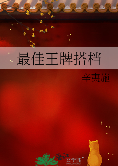 最佳王牌搭檔