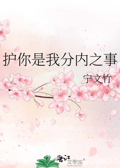 護你是我分内之事