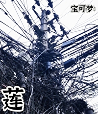 寶可夢：蓮