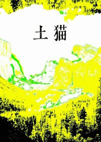 土貓