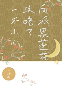 一不小心攻略了反派黑蓮花