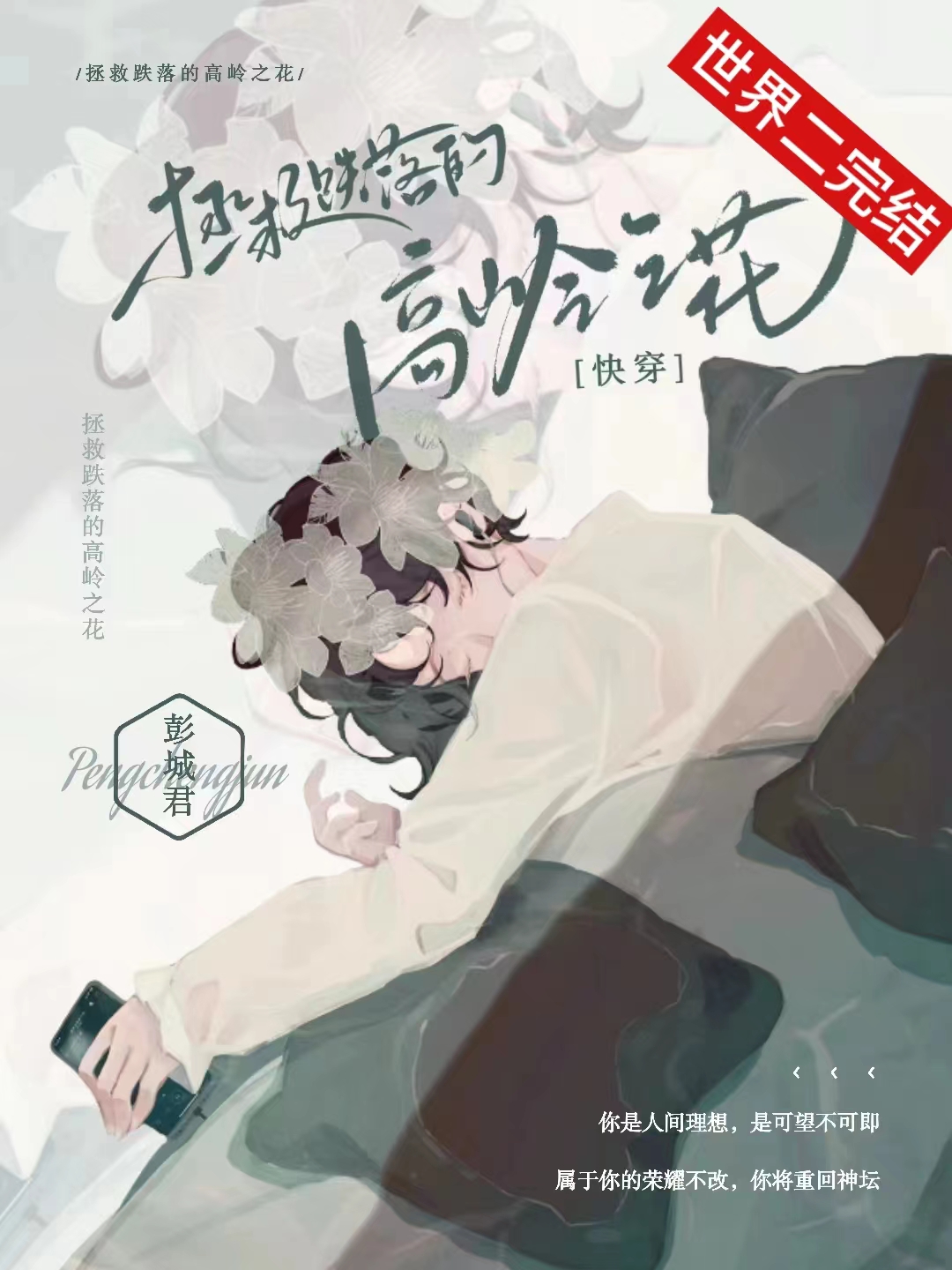攻一把高嶺之花拐回家了[快穿]