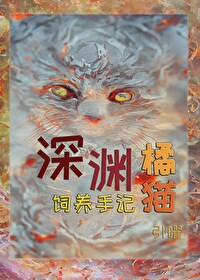 深淵橘貓飼養手記