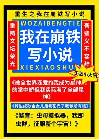 我靠寫小說風靡崩鐵