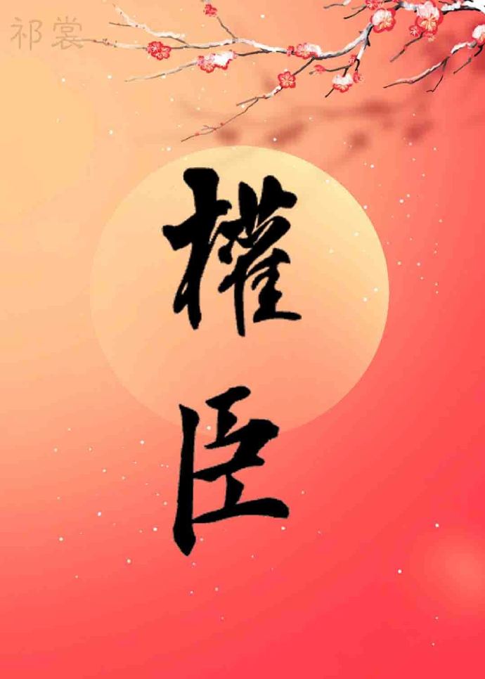 嫁給權臣以後