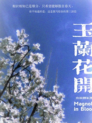 玉蘭花開