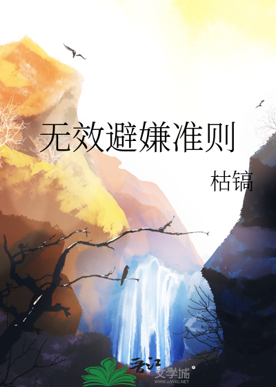 無效避嫌準則