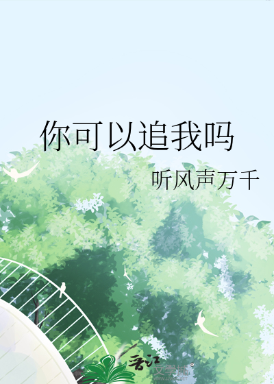 你可以追我嗎