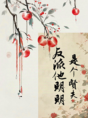 反派他明明是個賢夫（女尊）