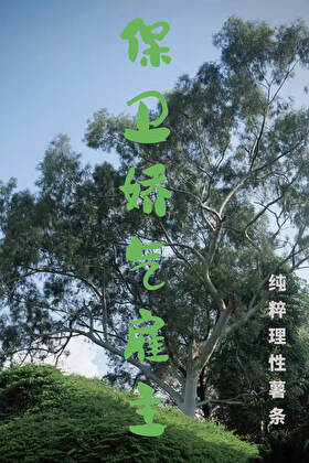 保衛嬌氣雇主