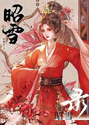 昭雪錄（探案）