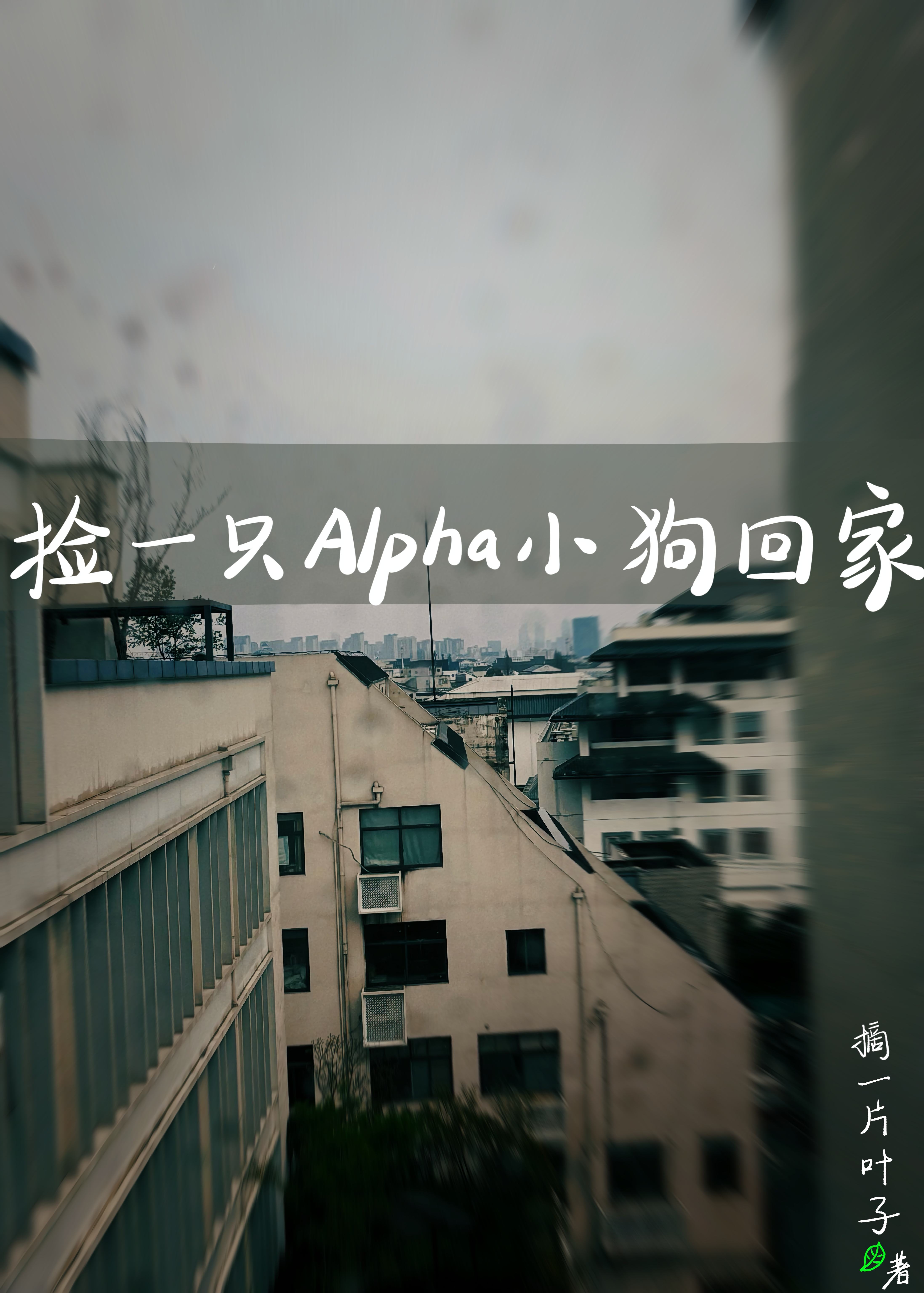 撿一隻alpha小狗回家