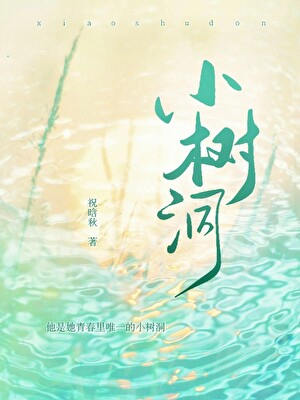 小樹洞