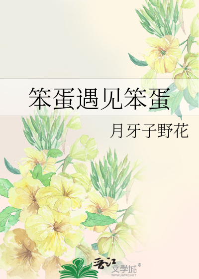笨蛋遇見笨蛋