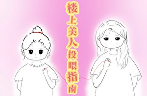 樓上美人投喂指南