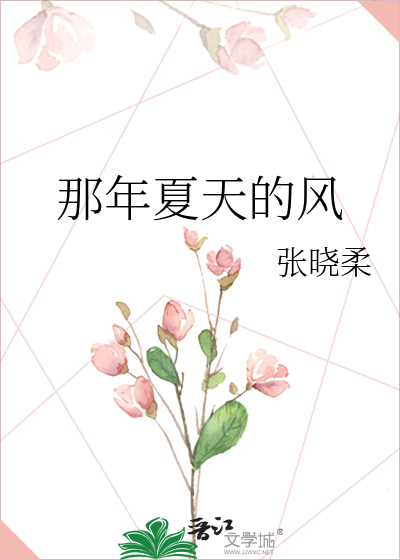 那年夏天的風