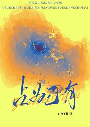 占為己有（gb）