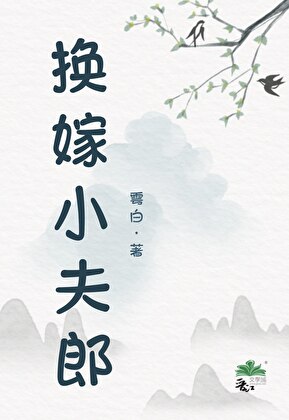 換嫁小夫郎