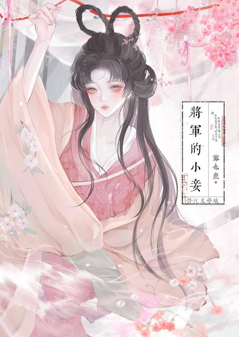 将軍的小妾