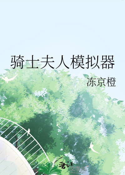 騎士夫人模拟器
