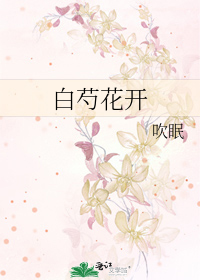 白芍花開