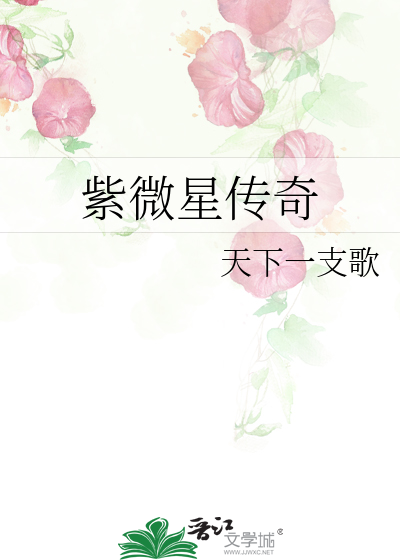 紫微星傳奇
