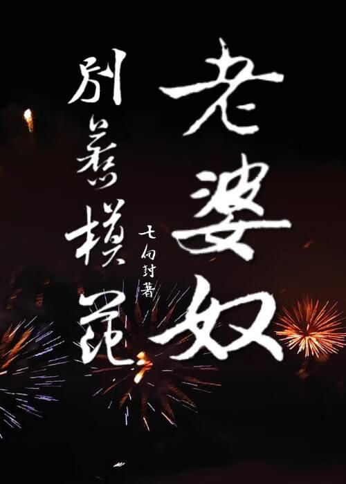别惹模範老婆奴
