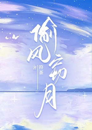 偷風竊月