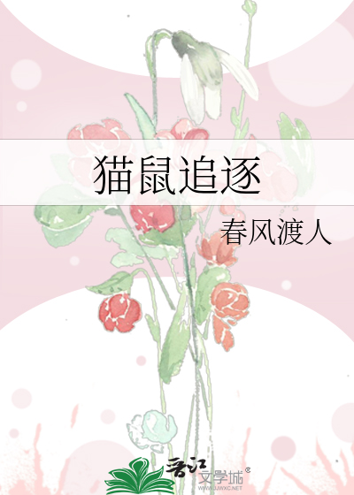 貓鼠追逐