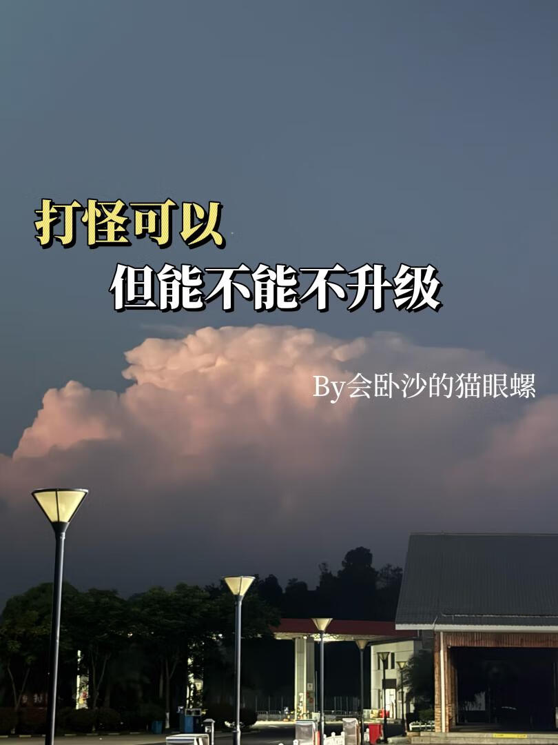 打怪可以，但能不能不升級