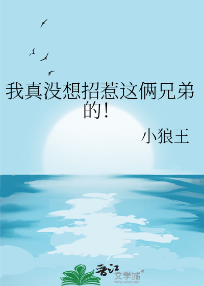 我真沒想招惹這倆兄弟的！