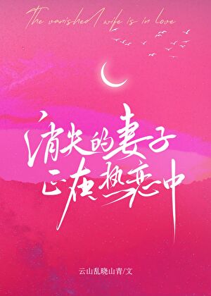 消失的妻子正在熱戀中