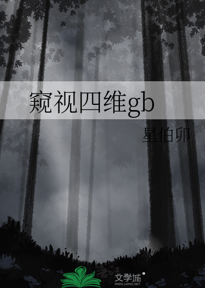 窺視四維gb