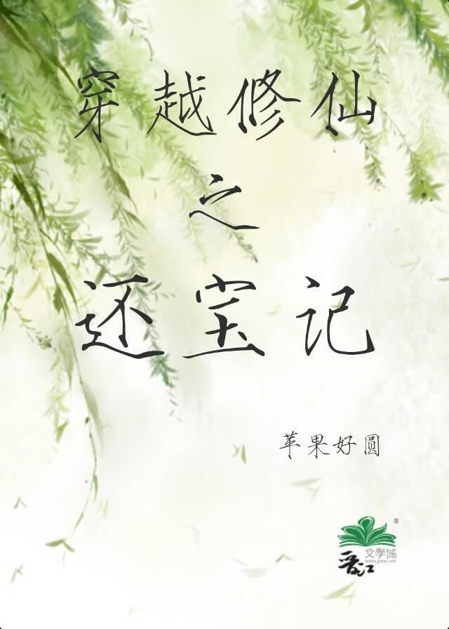 穿越修仙之還寶記