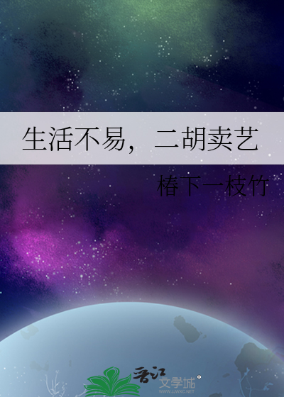 生活不易，二胡賣藝